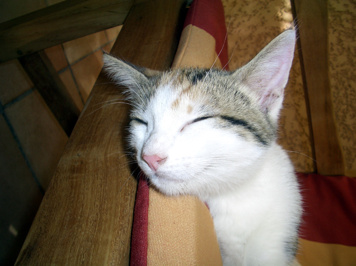 Caramel 08-04 001.jpg